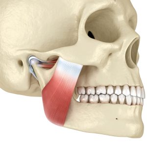 TMJ-Image-2-min.jpg TMJ-Image-2-min.jpg